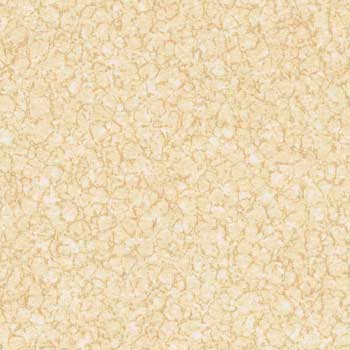 潔福吶認FIRST加強系列-潔福pvc地板