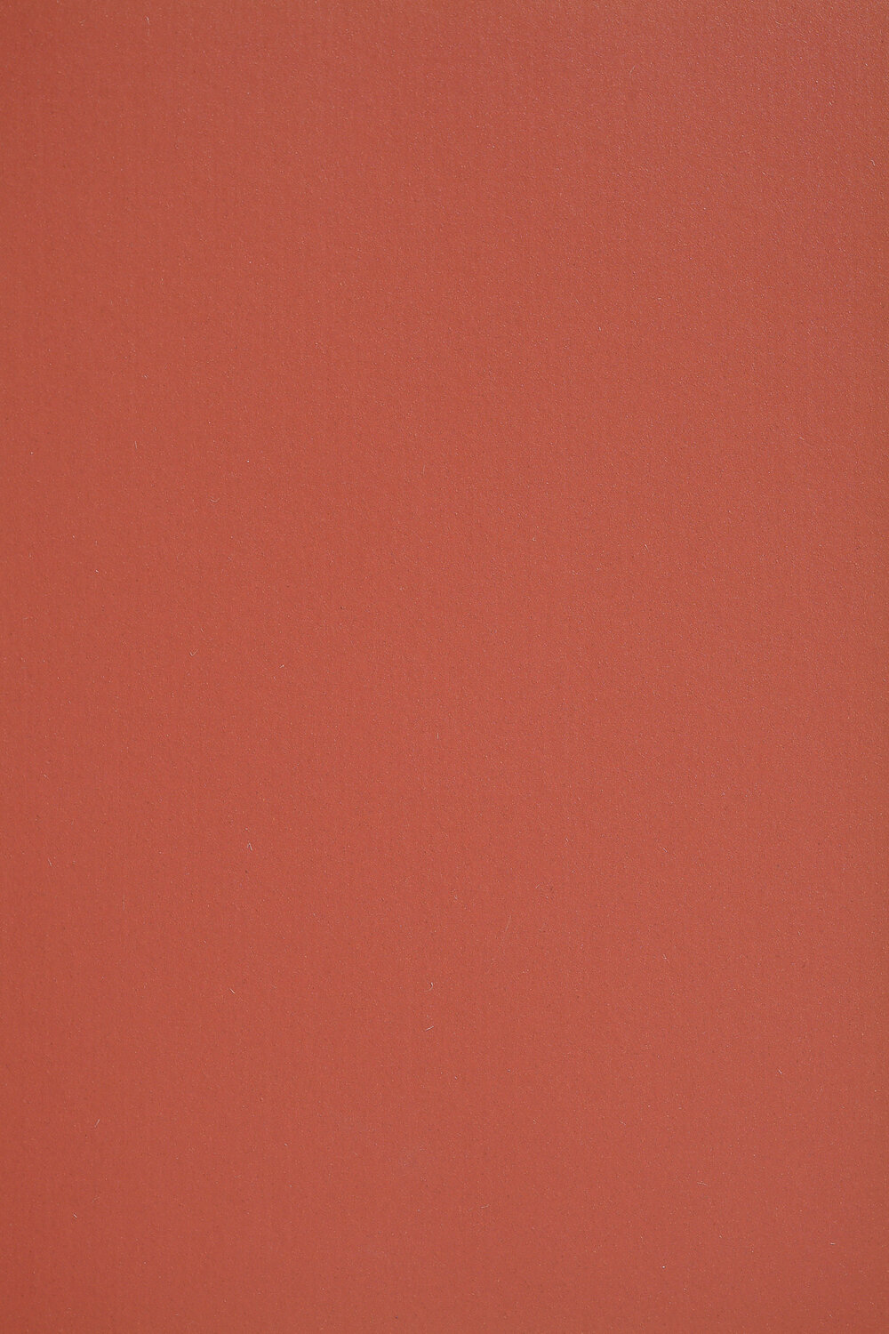 0010 POMPEJI RED